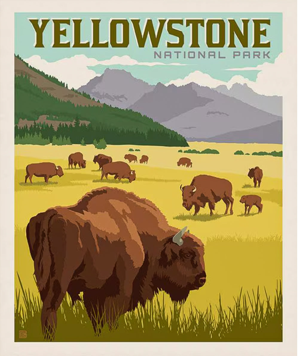 Yellowstone National Park Bison Poster Panel