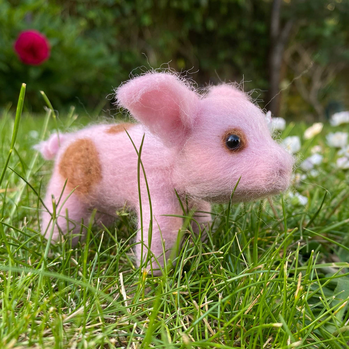 Needle Felting Kit - Piglet