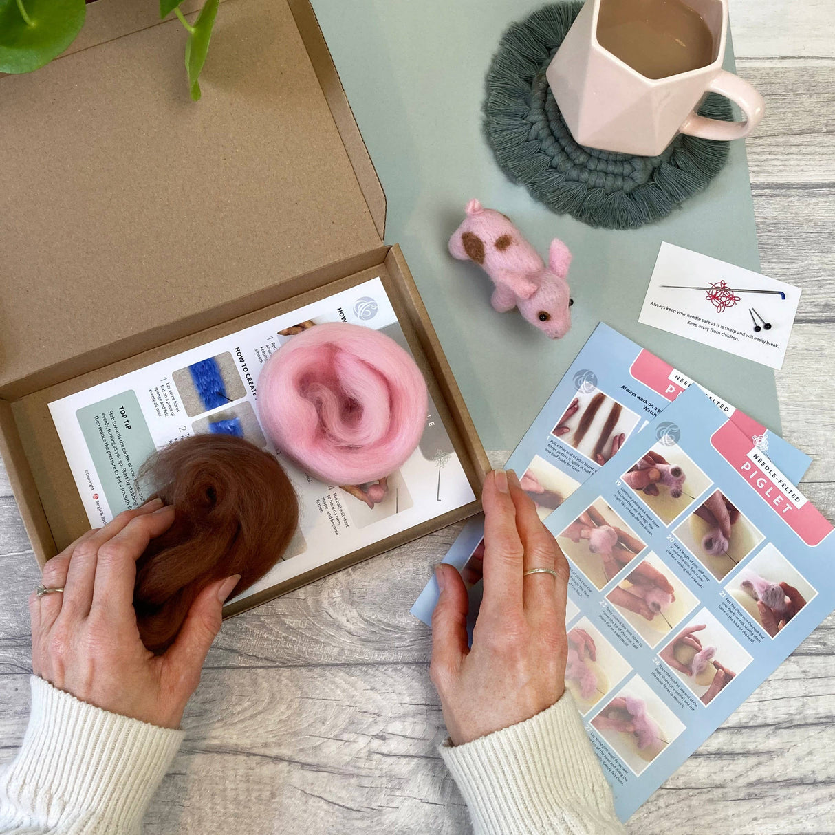 Needle Felting Kit - Piglet