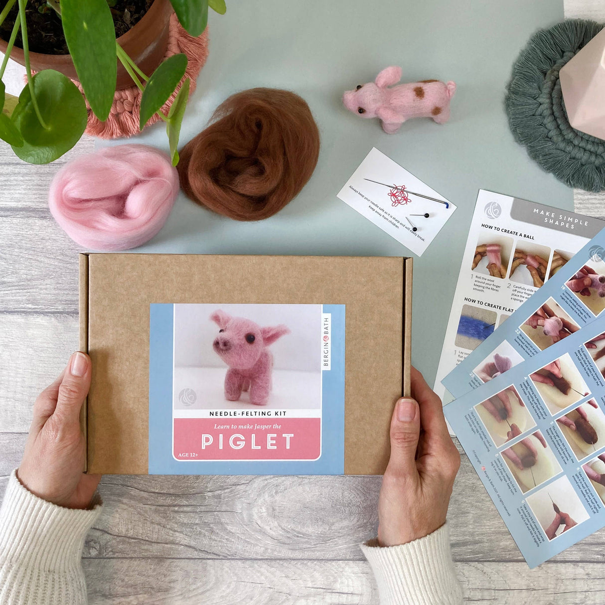 Needle Felting Kit - Piglet