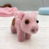 Needle Felting Kit - Piglet