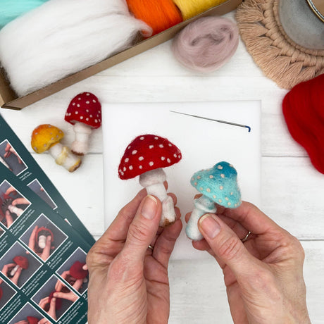 Needle Felting Kit-Toadstools