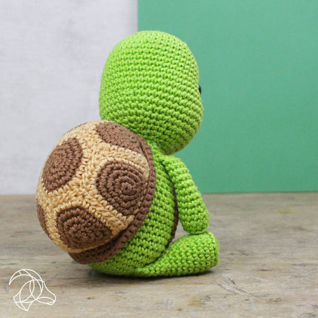 Siem the Turtle Crochet Kit