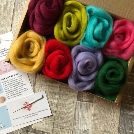 Needle Felting Starter Kit - Brights